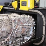 Lisy s dvojitým beranidlem