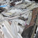 Lisy s dvojitým beranidlem